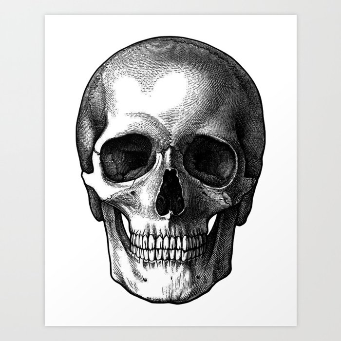 Head Skull Art Print