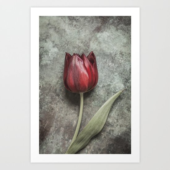 One Red Tulip Art Print
