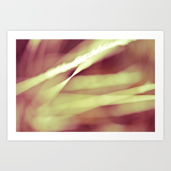 Imagine the Colours Art Print