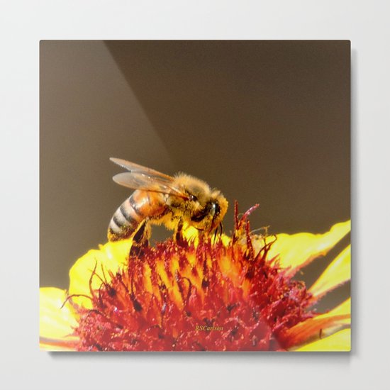 Pollenator at Work Metal Print