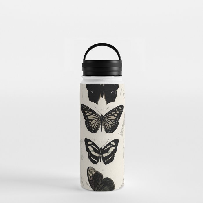 Victorian Botany Butterflies Water Bottle