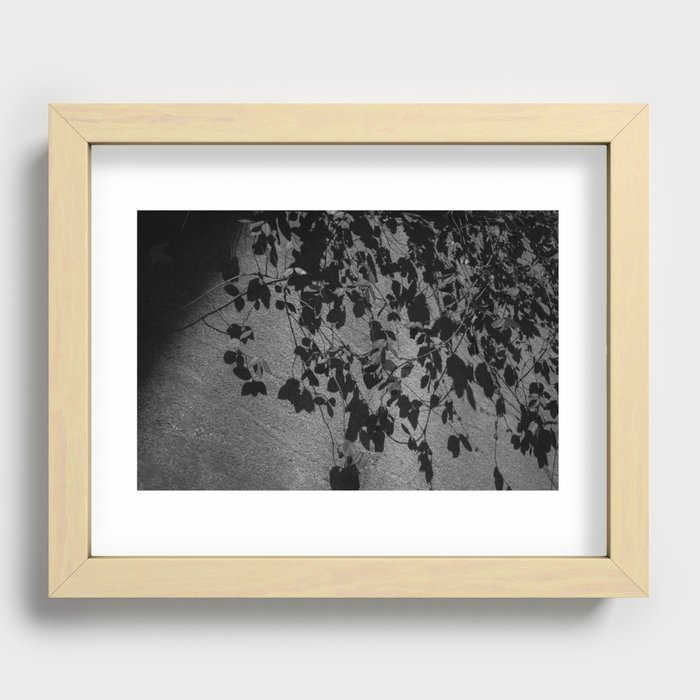 ivy Recessed Framed Print