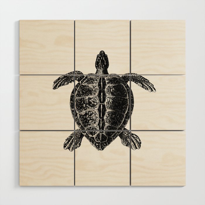 Vintage Victorian Turtle Engraving Wood Wall Art