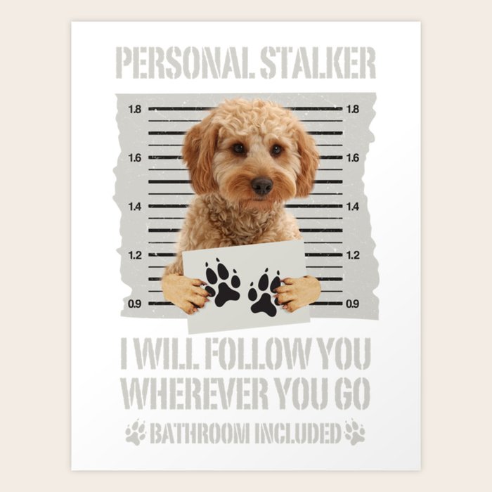 Cockapoo sweatshirt 2025