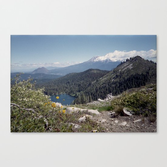 Mt Shasta Canvas Print