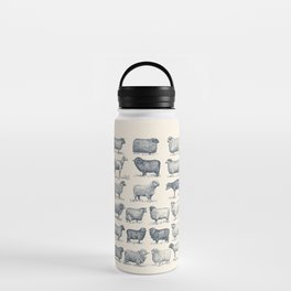 Types of Sheep Water Bottle