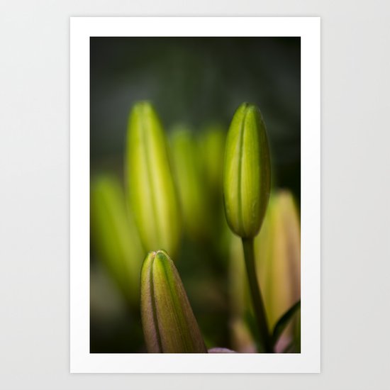 the healing Art Print