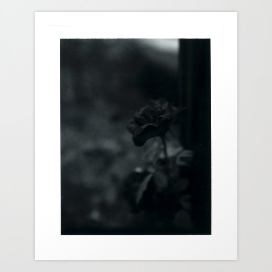 Colorless Beauty Art Print