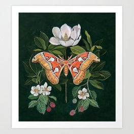 Atlas Moth Magnolia Art Print