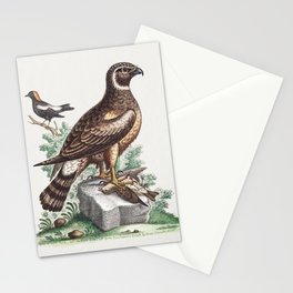 Vintage bird illustration Stationery Card