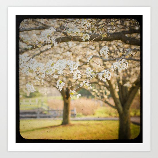 Taking a Mental Picture Art Print