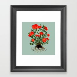 Mexican Marigold Plant Painting in Sage Green Framed Art Print