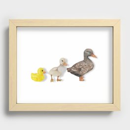 Ducky Evolution Recessed Framed Print