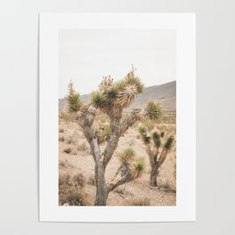 Joshua Tree I Poster