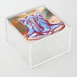 Elephate Acrylic Box
