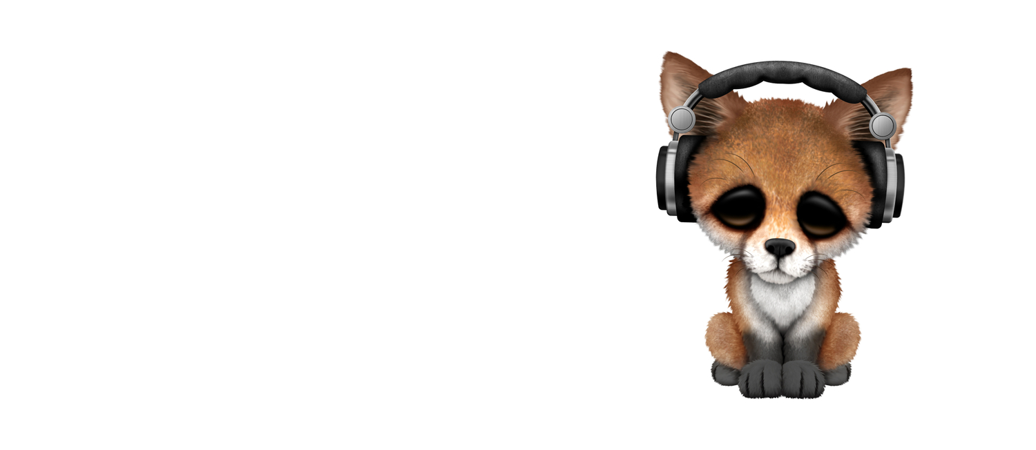 Cute Red Fox Cub Dj Wearing Headphones On Blue Coffee Mug By Jeffbartels Society6,Smoked Tri Tip Recipe
