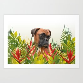 Boxer in Jungle Leaves with Heliconia Art Print