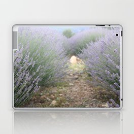 The Path Through Lavender Landscape Photograph Laptop Skin