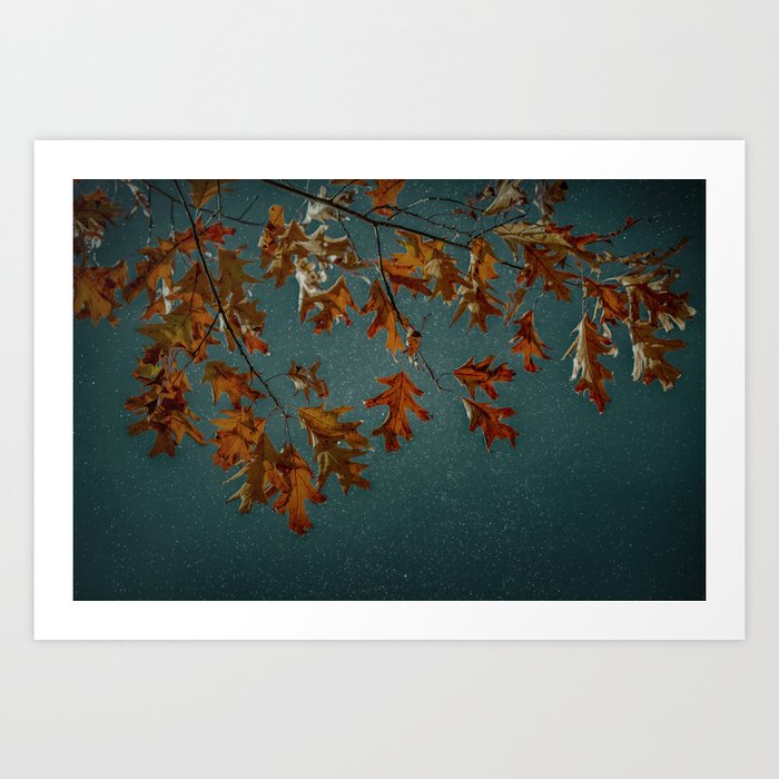 Rust Oak Leaves on Teal Night Sky Art Print