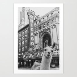 Chicago Llama Art Print