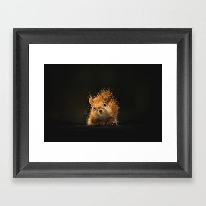 squirrel in the dark Framed Art Print