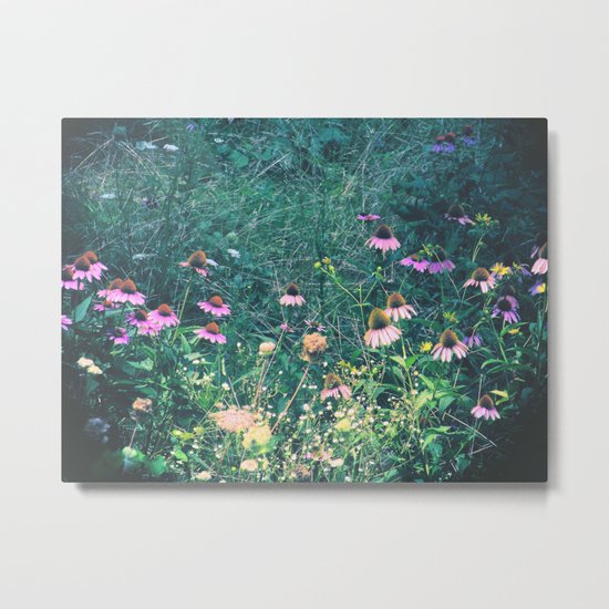 Flowers of the Field Metal Print