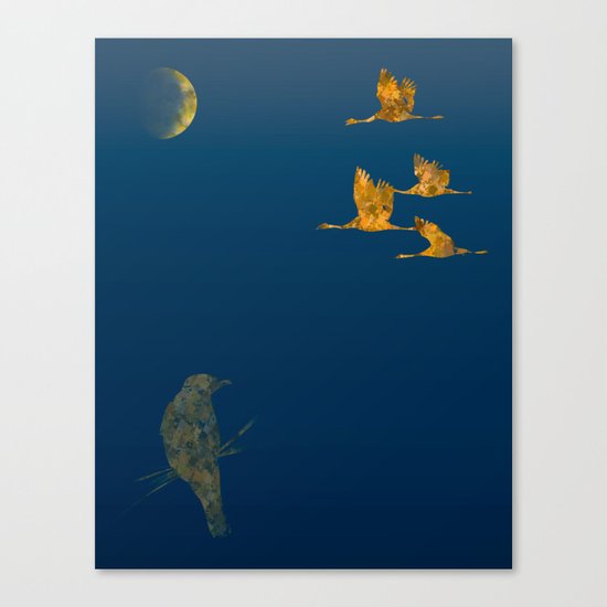Moon-lit Flight Canvas Print