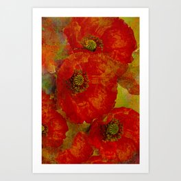 Poppies red & orange Art Print