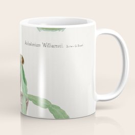 Peyote, Indian Head, and Christmas Cactus Mug