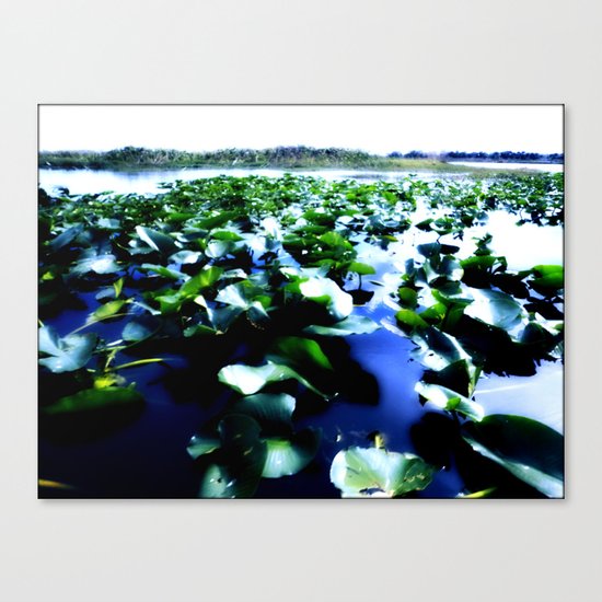 tropical botanica Canvas Print
