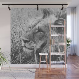 South Africa Photography - Lion In Black And White Wall Mural