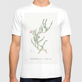 Mesembryanthemum Uncinatum (Ruschia Uncinata) from Histoire des Plantes Grasses (1799) by Pierre-Jos T-shirt