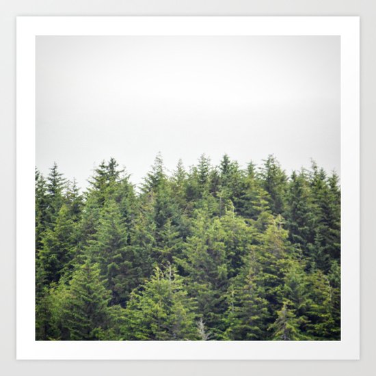 Verdant Tree Tops Art Print