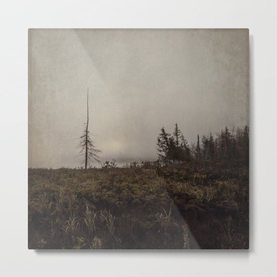 on a quiet morning Metal Print