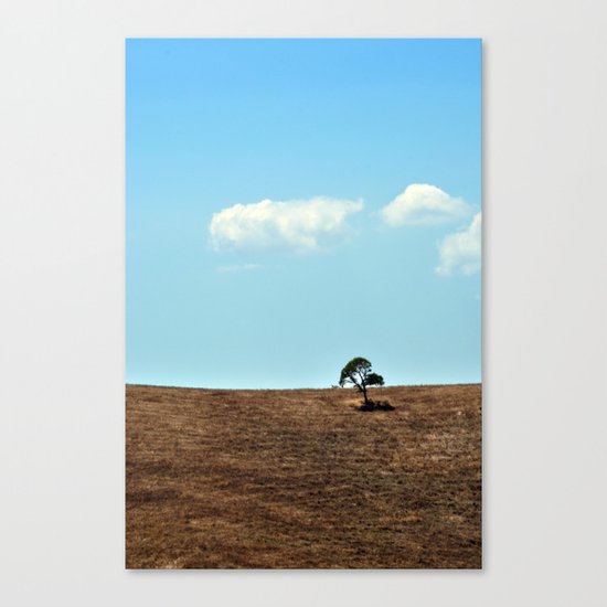 Lone Tree Canvas Print
