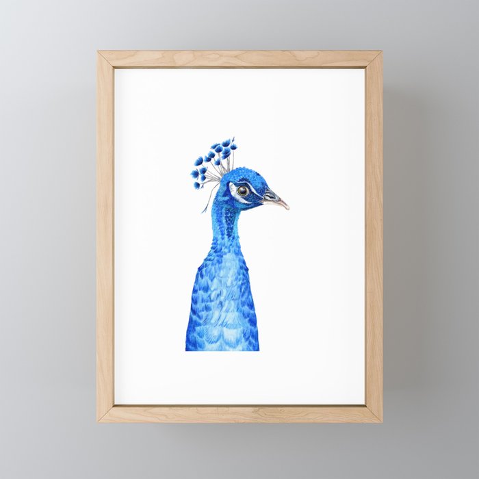 Vasile the Peacock Framed Mini Art Print