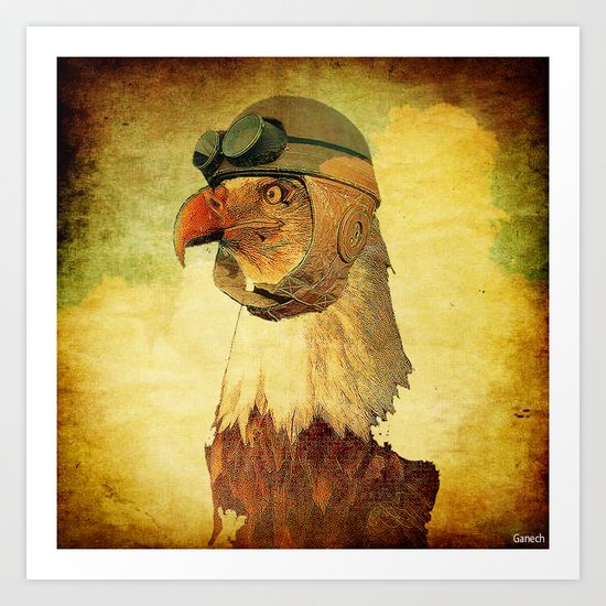 Captain eagle Art Print