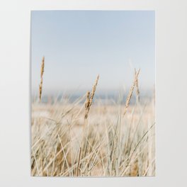 Dune Grass at the Dutch Beach. Minimalistic print - fine art photography Art Print Poster