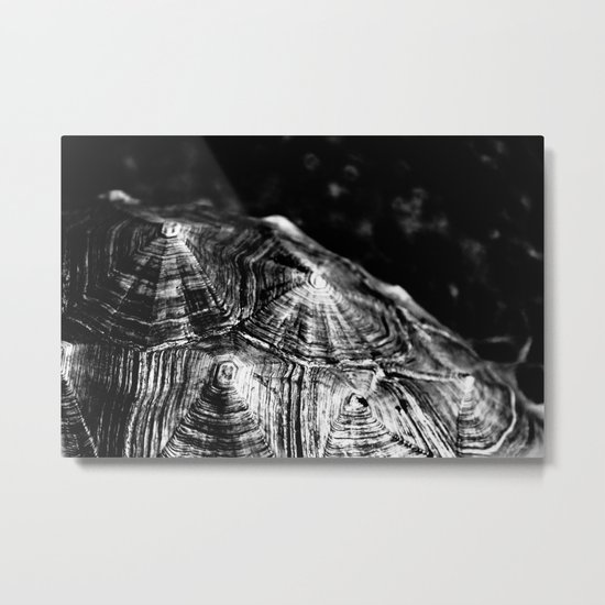 Your pain is the breaking of the shell that encloses your understanding~Khalil Gibran Metal Print