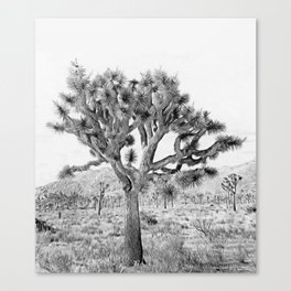 Joshua Tree Giant by CREYES Canvas Print