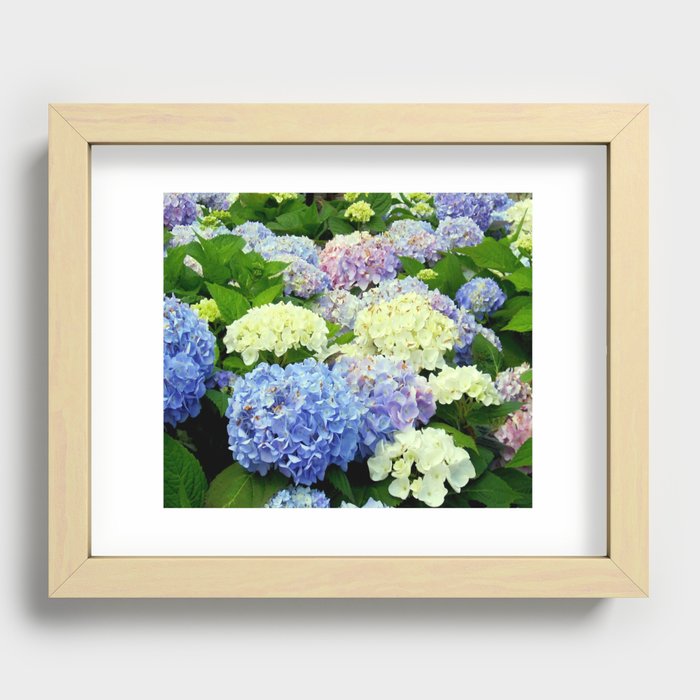 Hydrangea Flowers Mix Recessed Framed Print