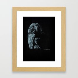 Falcon01 Framed Art Print