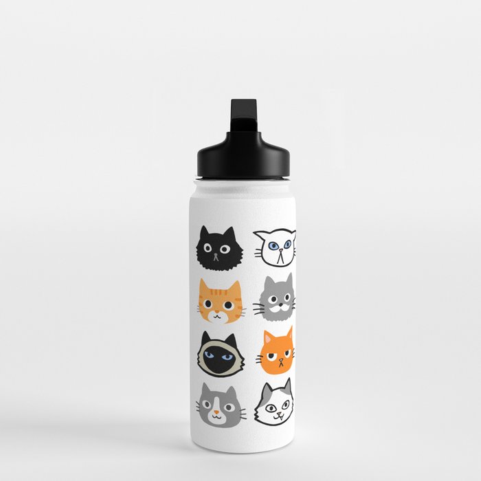 Cat water shop bottle for humans