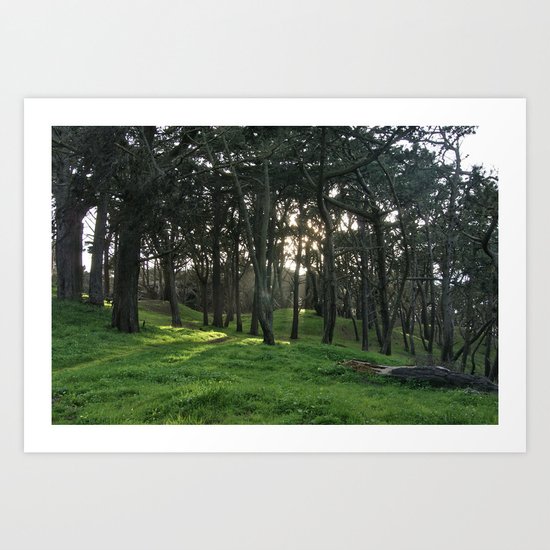 beams Art Print