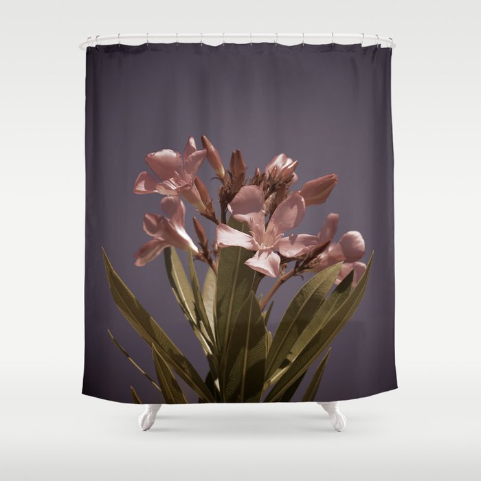 Pretty in Pink Vintage Shower Curtain