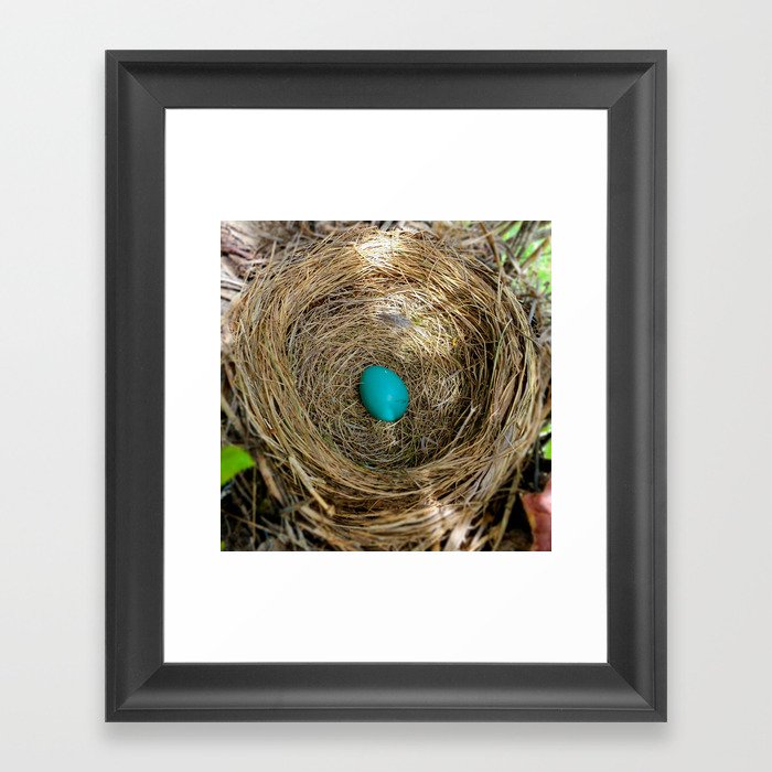 One Little Robin's Egg Framed Art Print