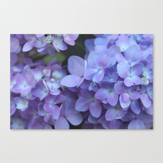 Feeling Blue Canvas Print