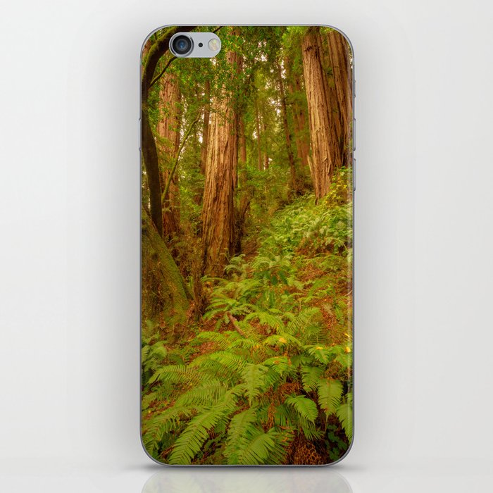 Redwoods Regional II iPhone Skin