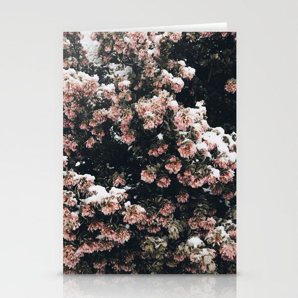 Winter Bloom Stationery Cards