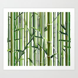 Bamboo Zen Art Print